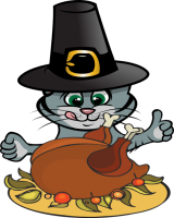 a thanksgiving kitty